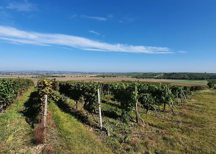 מלון Schlosshof *